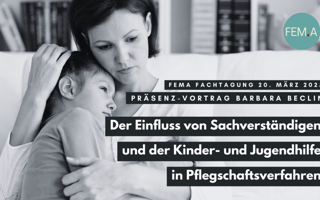 Barbara Beclin: Der Einfluss von Sachverständigen und der Kinder- und Jugendhilfe in Pflegschaftsverfahren